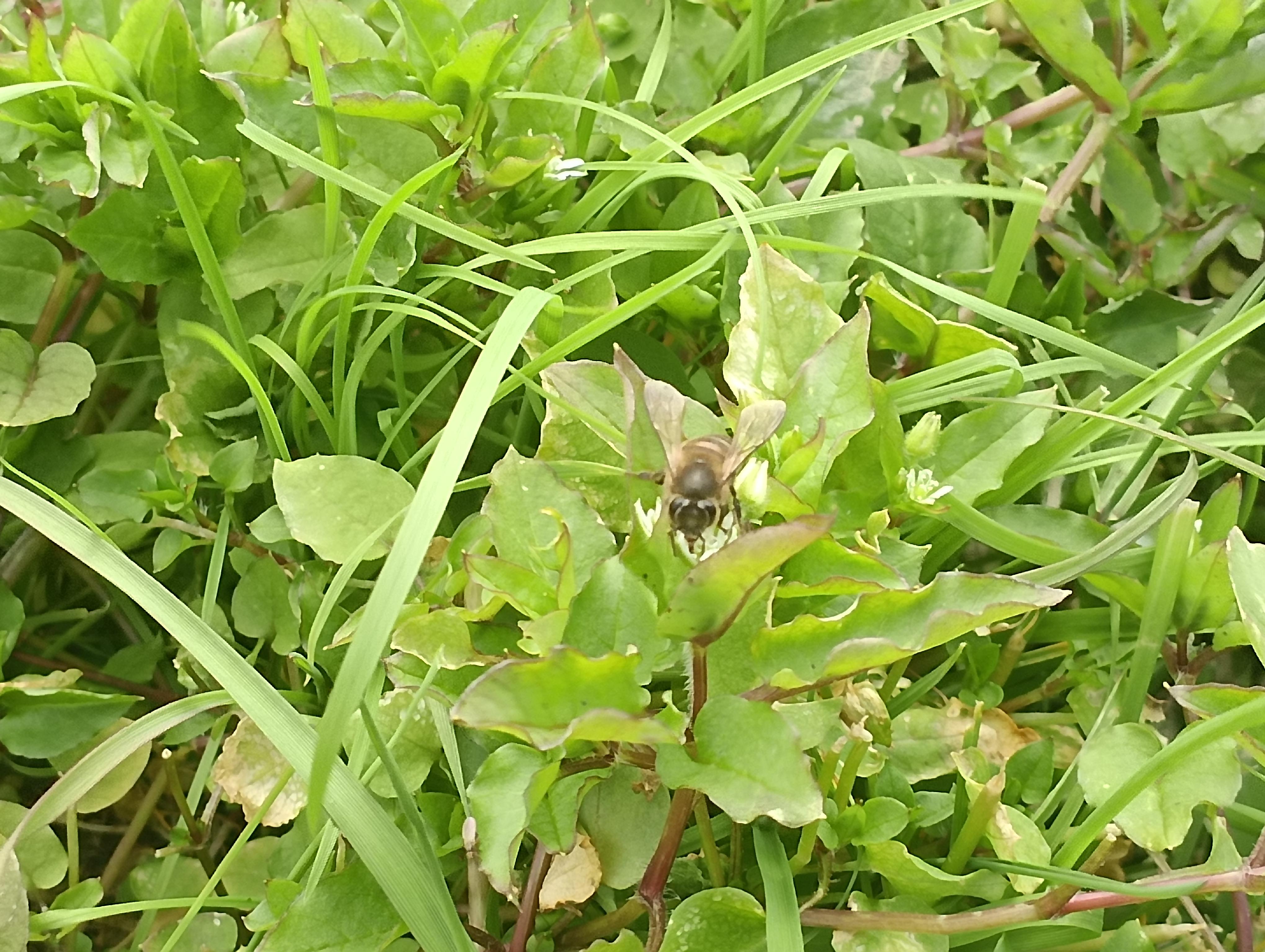 数码小草客户端小草客户端android23-第1张图片-太平洋在线下载