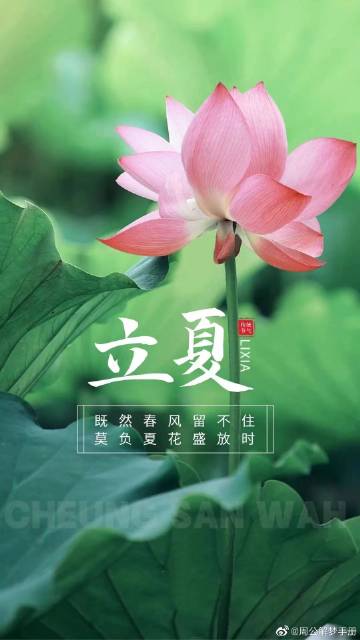 周公解梦手机版周公解梦原版官网-第1张图片-太平洋在线下载